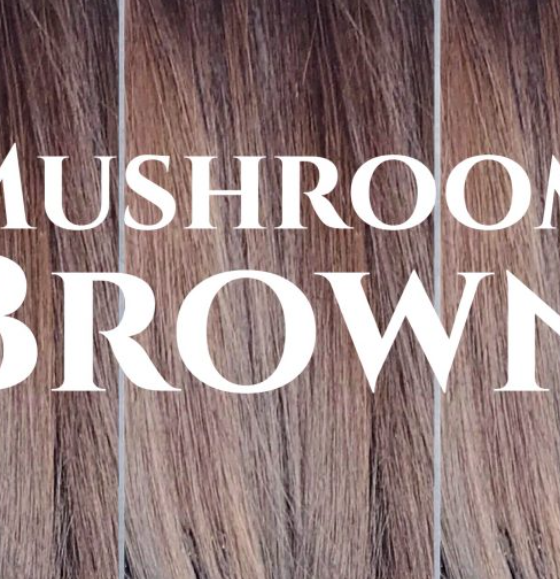 Mushroom-Brown-Hair-Ideas